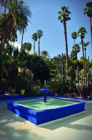 Jardins Majorelle, Marrakech.