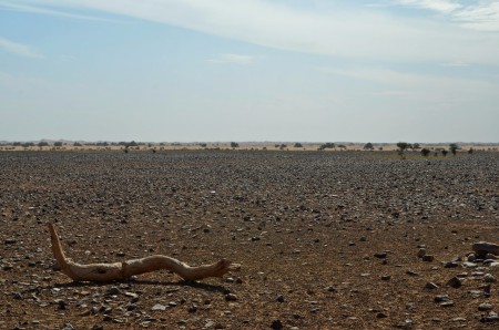 Chegaga, Sahara