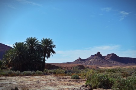 Oasis.