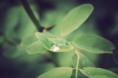 /album/nature-/dsc00639-jpg/