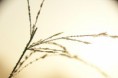 /album/nature-/dsc02021-jpg/