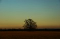 /album/nature-/dsc07233-jpg/