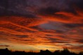 /album/nature-/dsc07915-jpg/