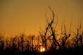 /album/nature-/dsc08011-jpg/