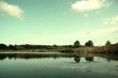 /album/nature-/oiuhyg-jpg/