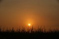 /album/nature-/dsc01979-jpg/