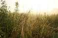 /album/nature-/dsc02013-jpg/