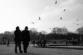/album/voyages-/dsc07723-jpg/
