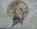 /album/street-art-/a69-jpg/