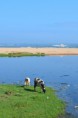 /album/nature-/dsc-0041-jpg/