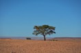 /album/nature-/dsc-0514-jpg/